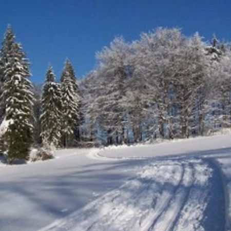 Apartmany Polevsko Buitenkant foto